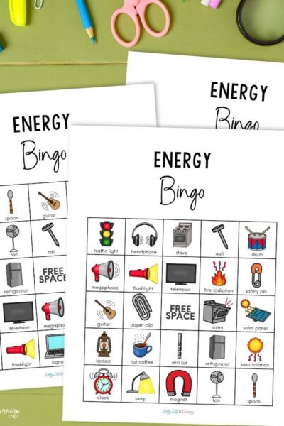 TPT Graphics – Energy Bingo Printables (2) pages of Energy Bingo Printables