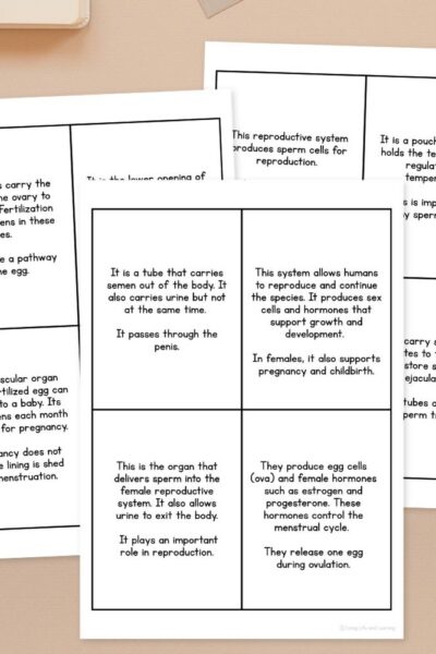 Human Body Flashcard Printables for Middle School on a table
