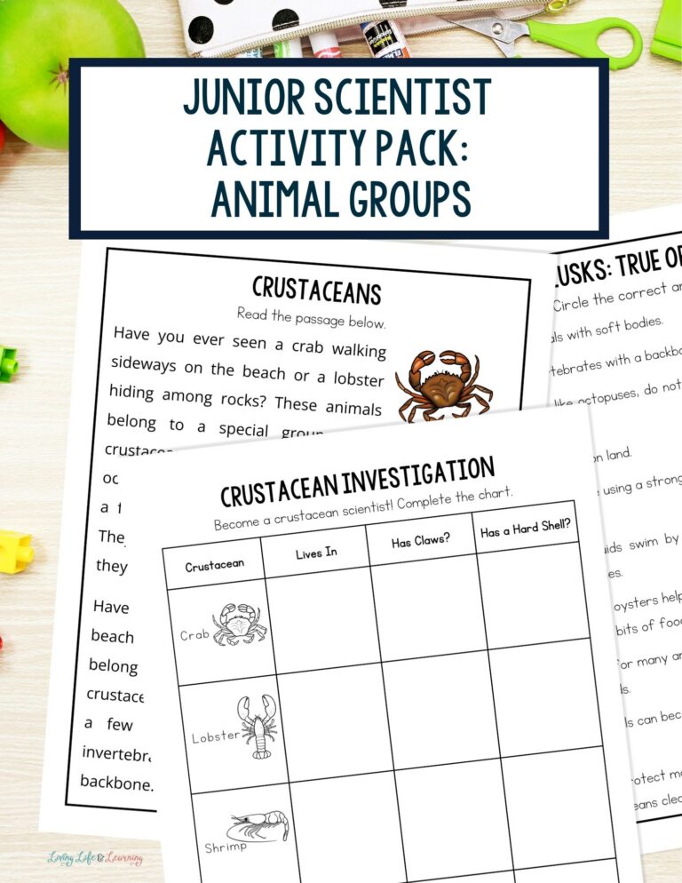 Junior Scientist Activity Pack: Animal Groups