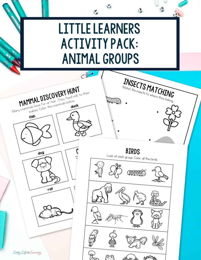 Little Learners Activity Pack: Animal Groups