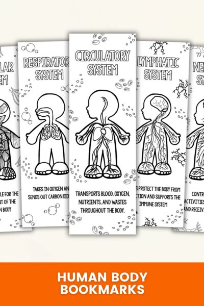 Bookmark Layout Printable Human Body Coloring Bookmarks