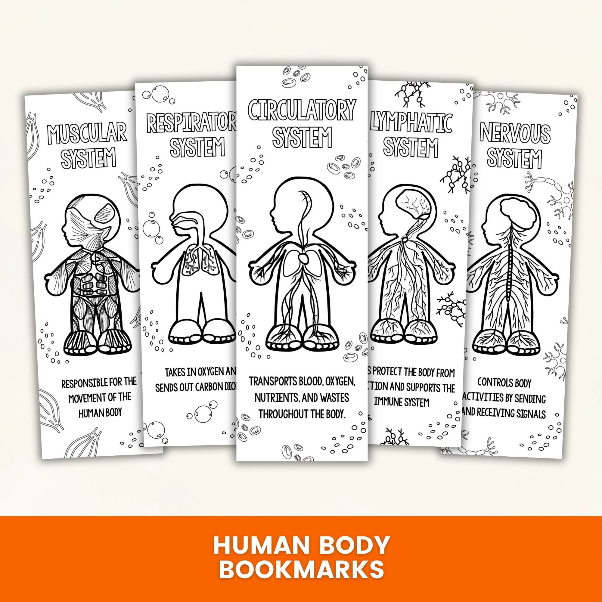 Printable Human Body Coloring Bookmarks