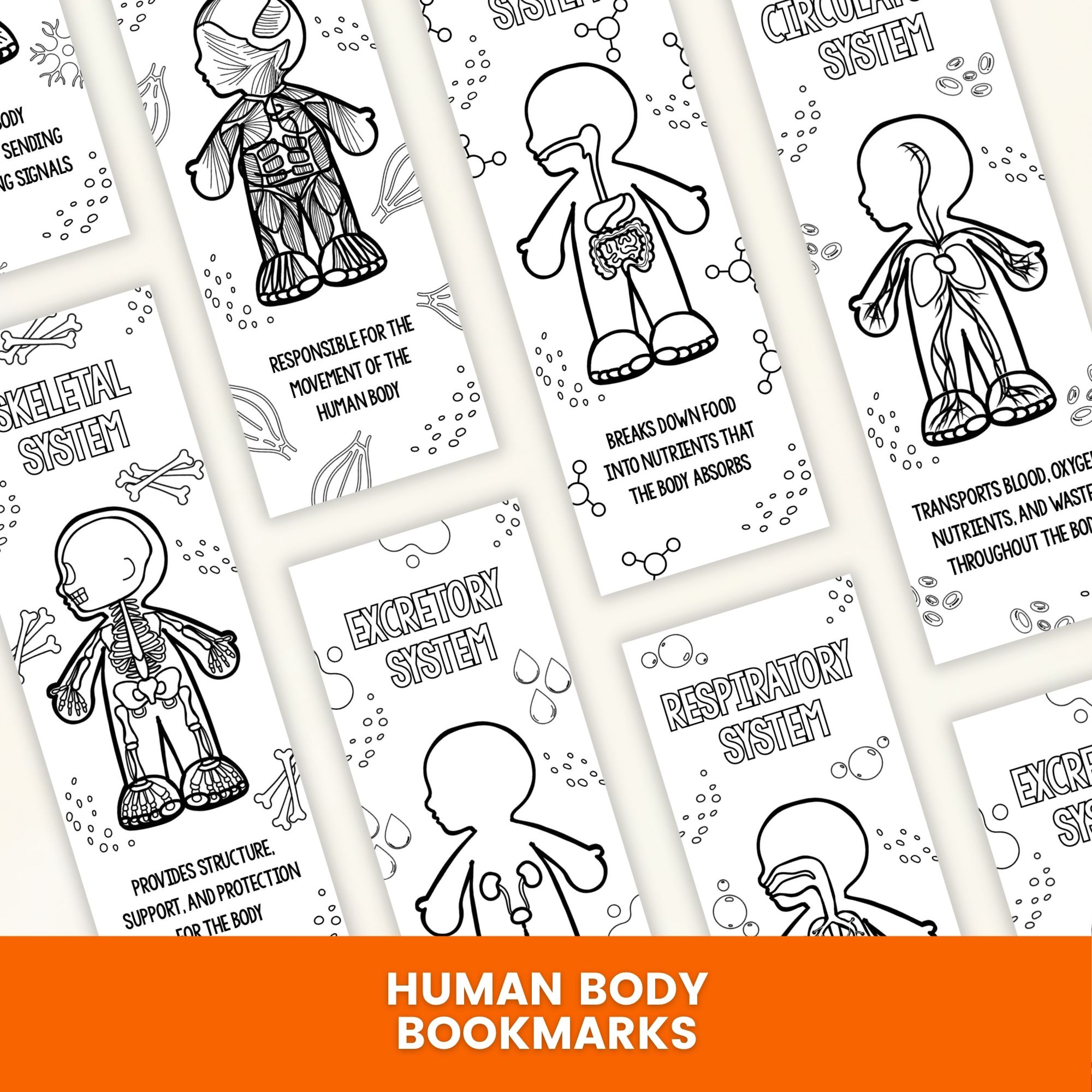 Printable Human Body Coloring Bookmarks
