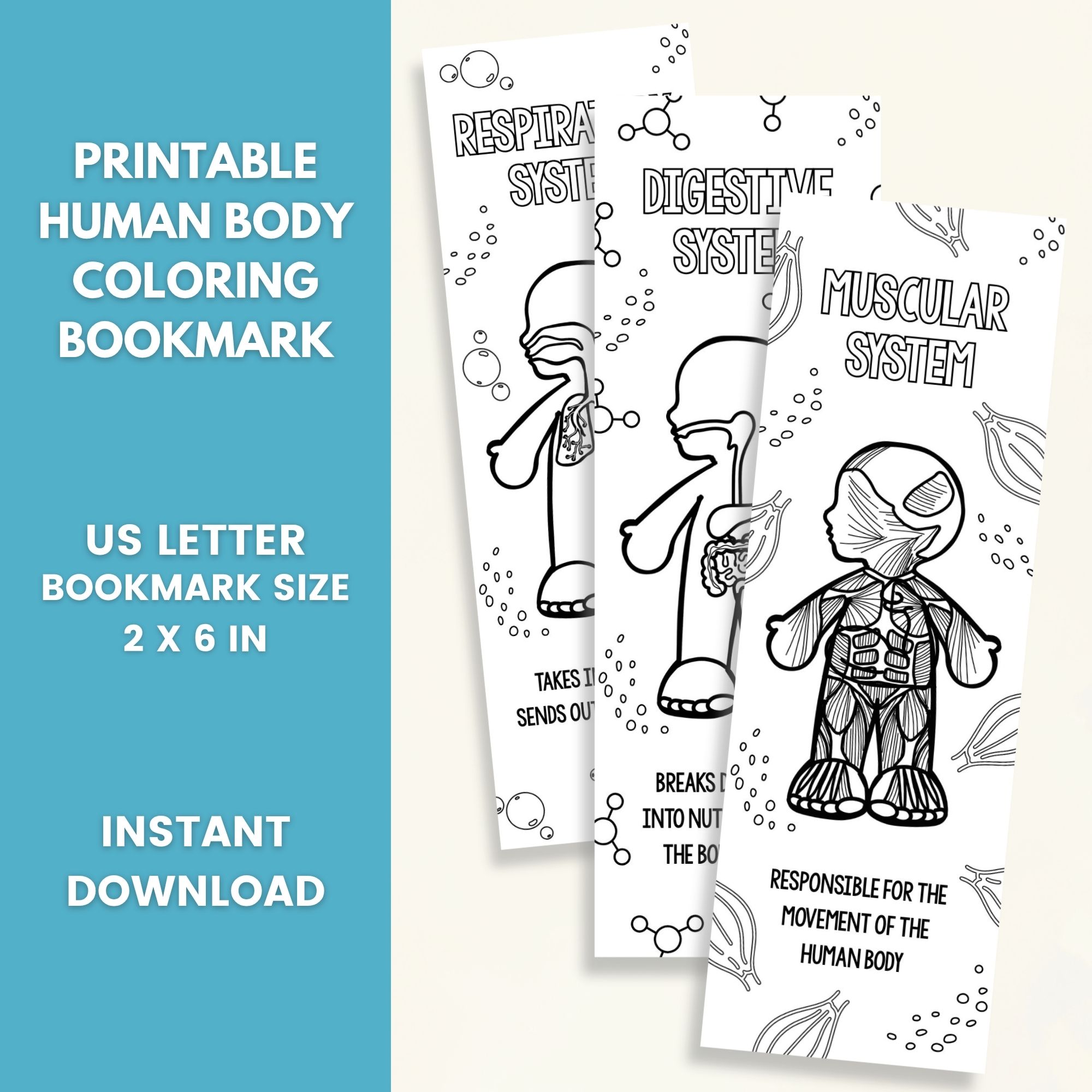 Printable Human Body Coloring Bookmarks