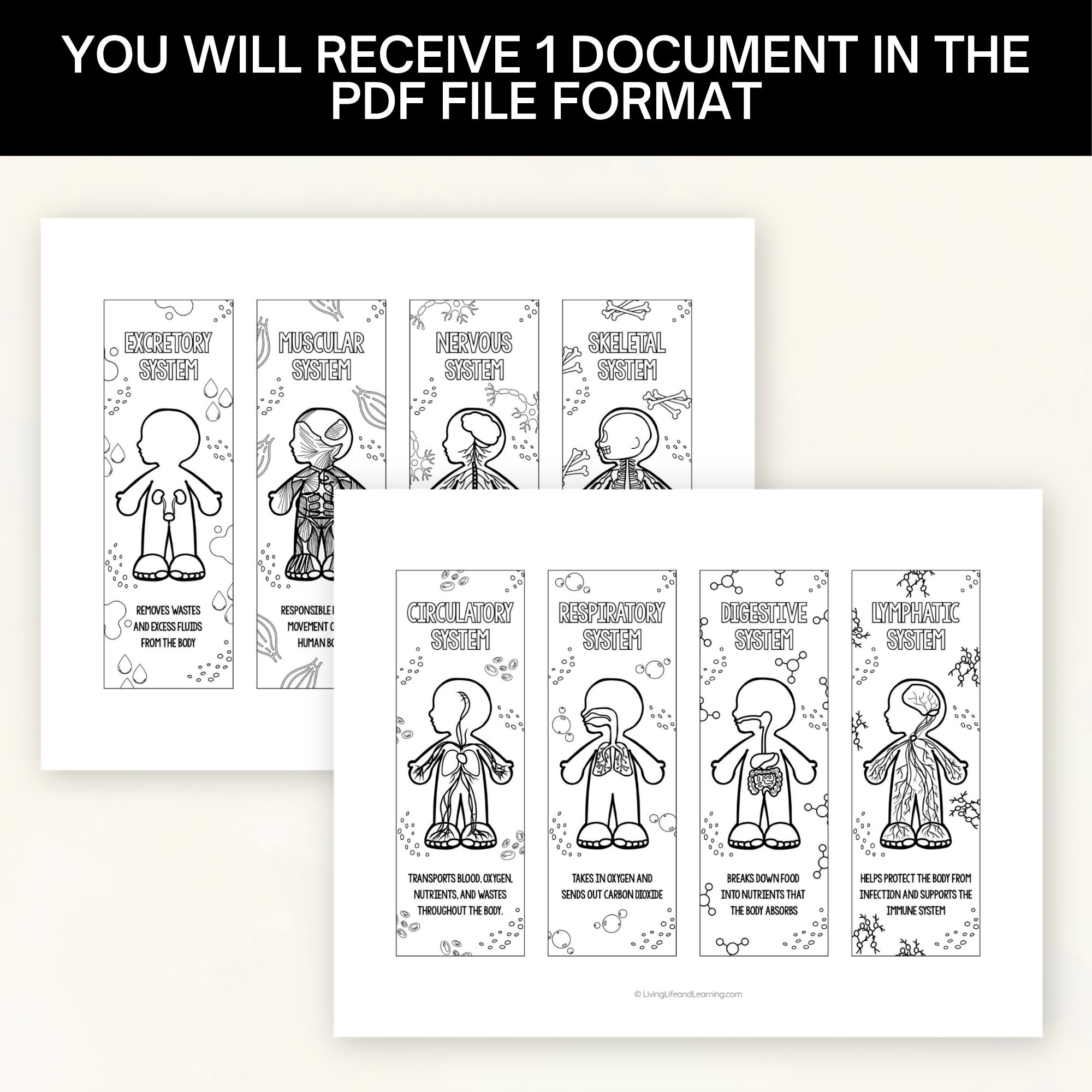 Printable Human Body Coloring Bookmarks