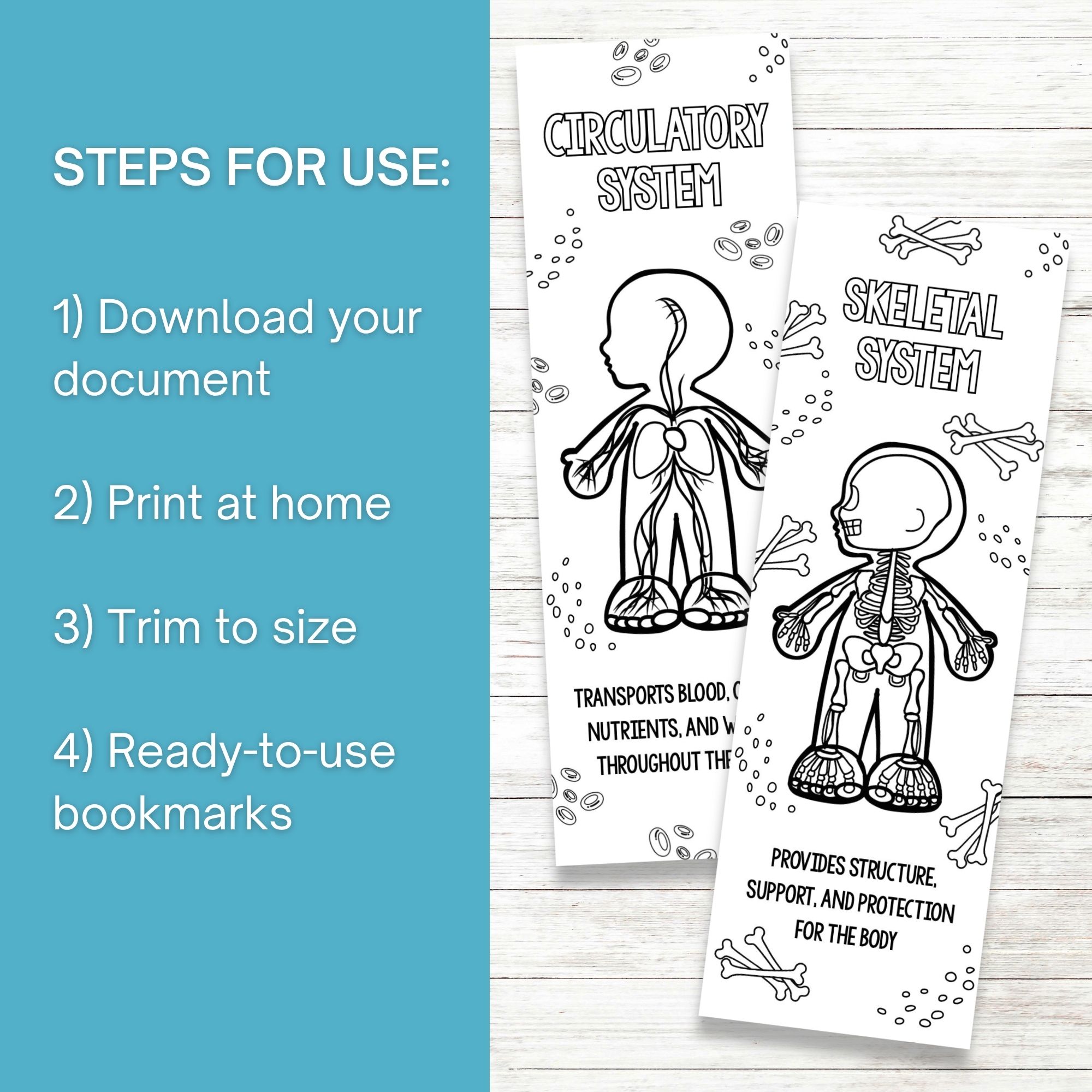 Printable Human Body Coloring Bookmarks