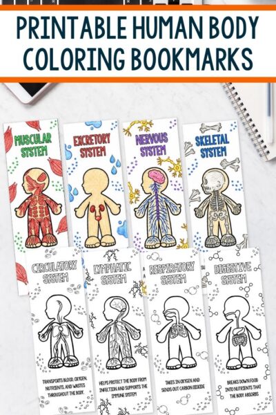 Printable Human Body Coloring Bookmarks on a table