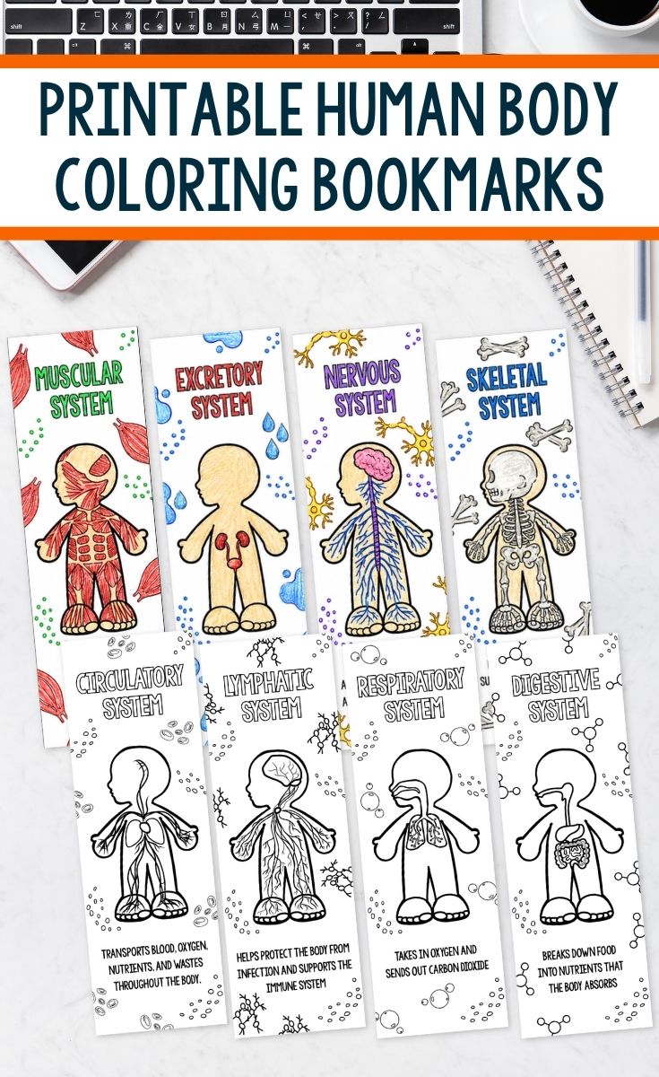 Printable Human Body Coloring Bookmarks on a table