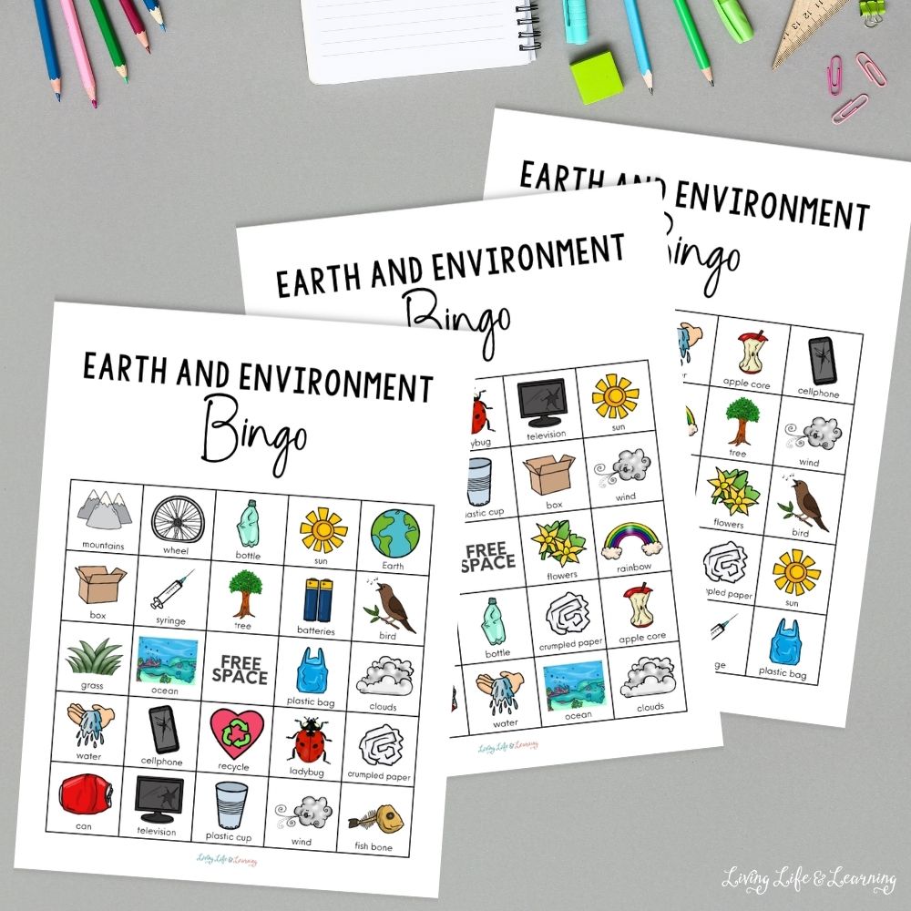 Earth & Environment Bingo Game printable on a table