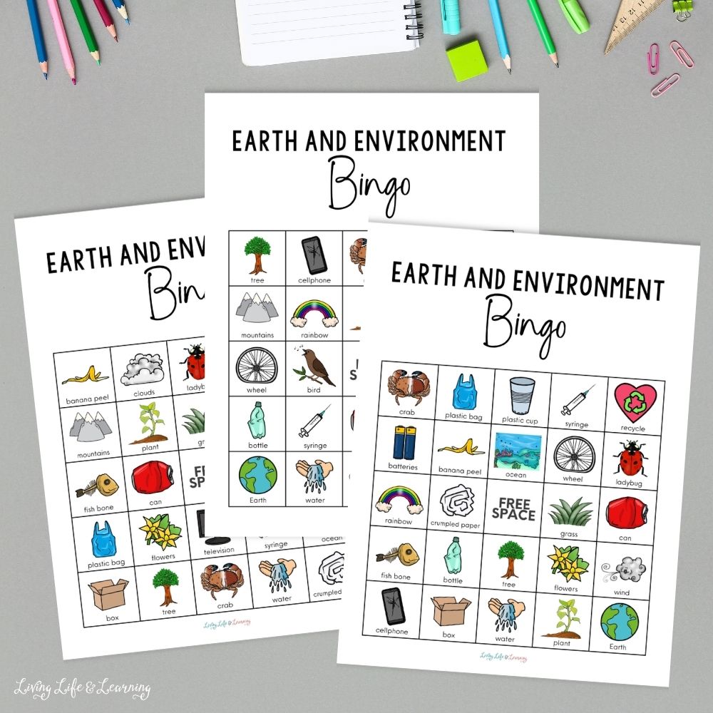 Earth & Environment Bingo Game printable on a table