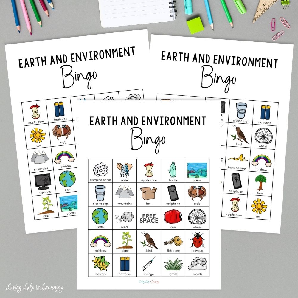 Earth & Environment Bingo Game printable on a table