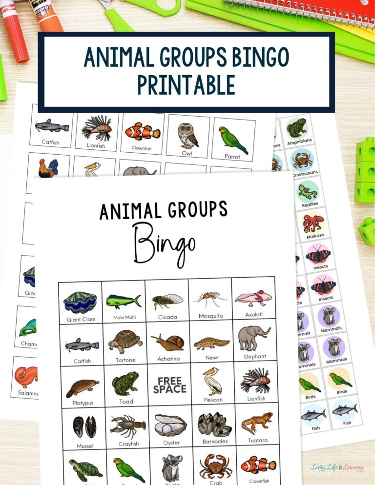 Animal Groups Bingo Printable