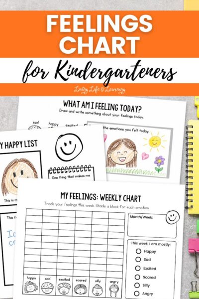 Feelings Chart for Kindergarteners on a table