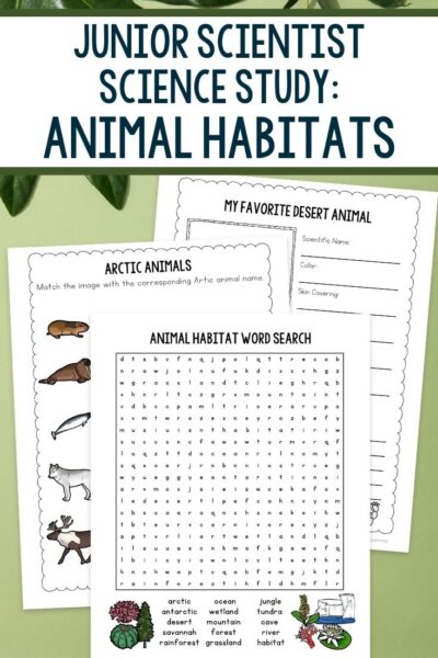 pages included in the Junior Scientist Science Study: Animal Habitats