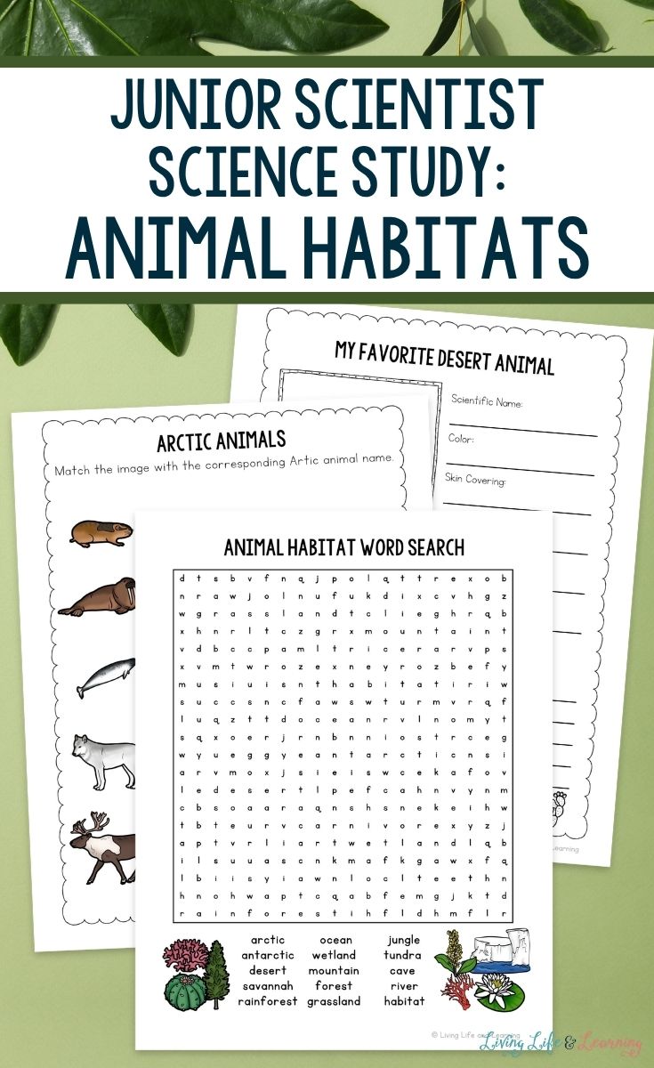 pages included in the Junior Scientist Science Study: Animal Habitats