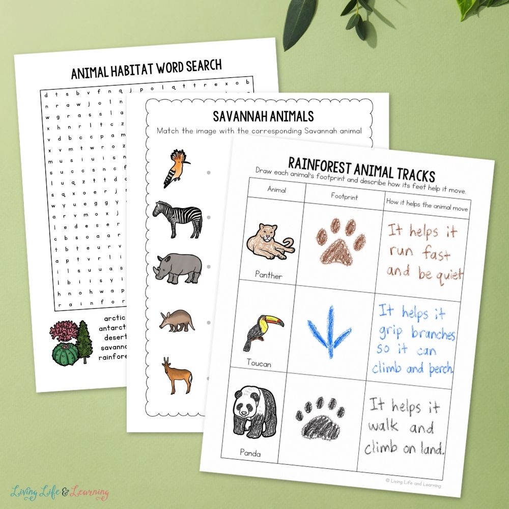 pages included in the Junior Scientist Science Study: Animal Habitats