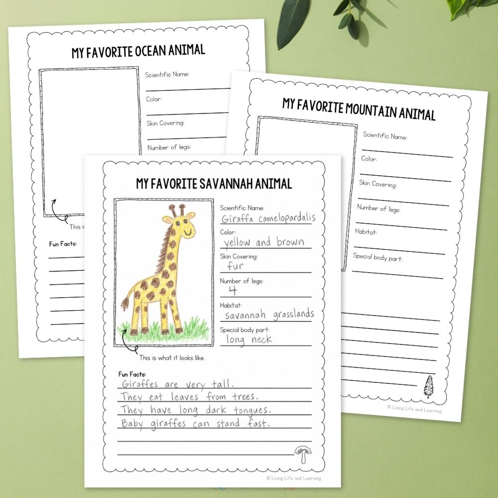 pages included in the Junior Scientist Science Study: Animal Habitats
