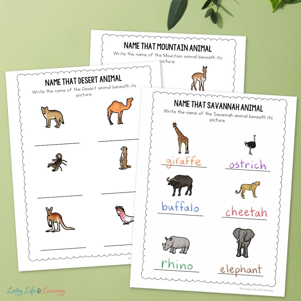 pages included in the Junior Scientist Science Study: Animal Habitats
