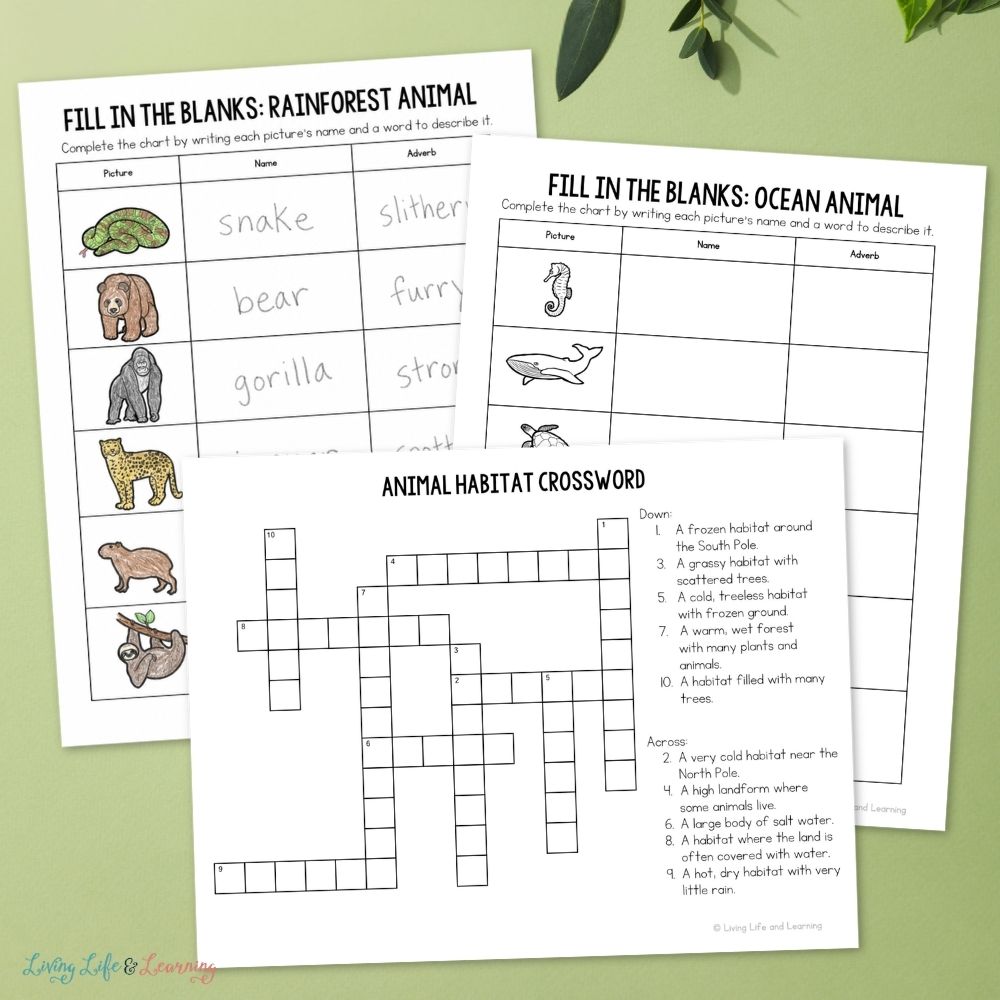 pages included in the Junior Scientist Science Study: Animal Habitats