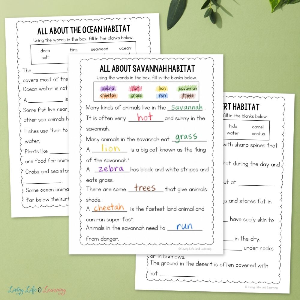 pages included in the Junior Scientist Science Study: Animal Habitats